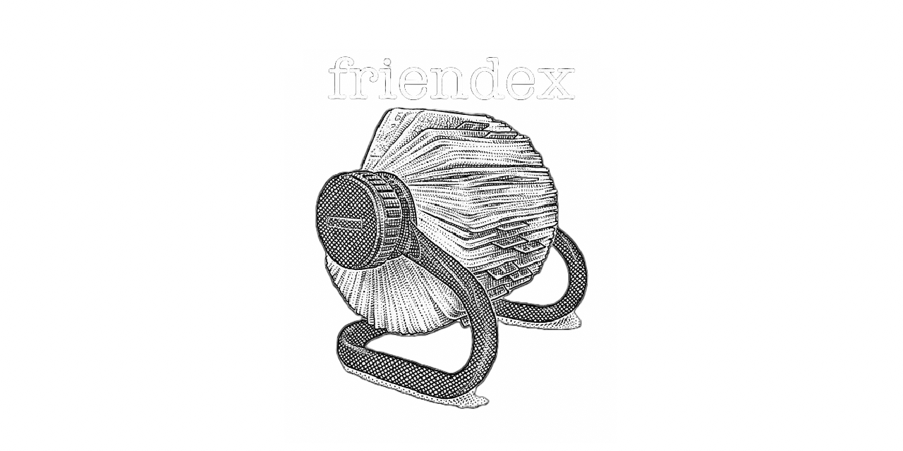 friendex Logo