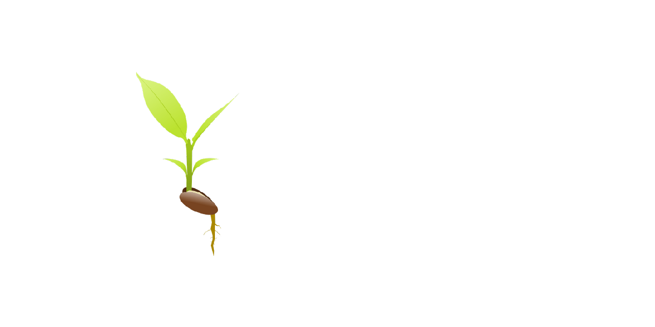 nounseed Logo
